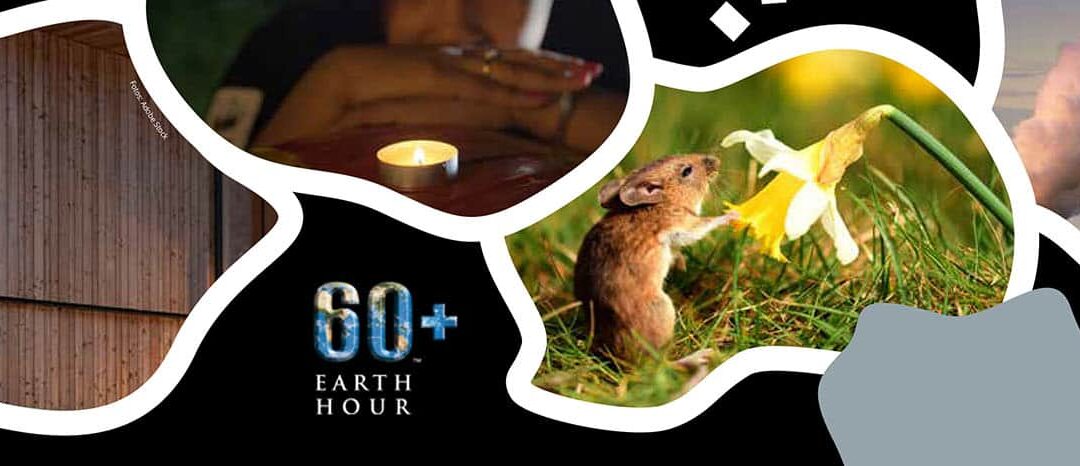 Earth Hour 2022 Sujet