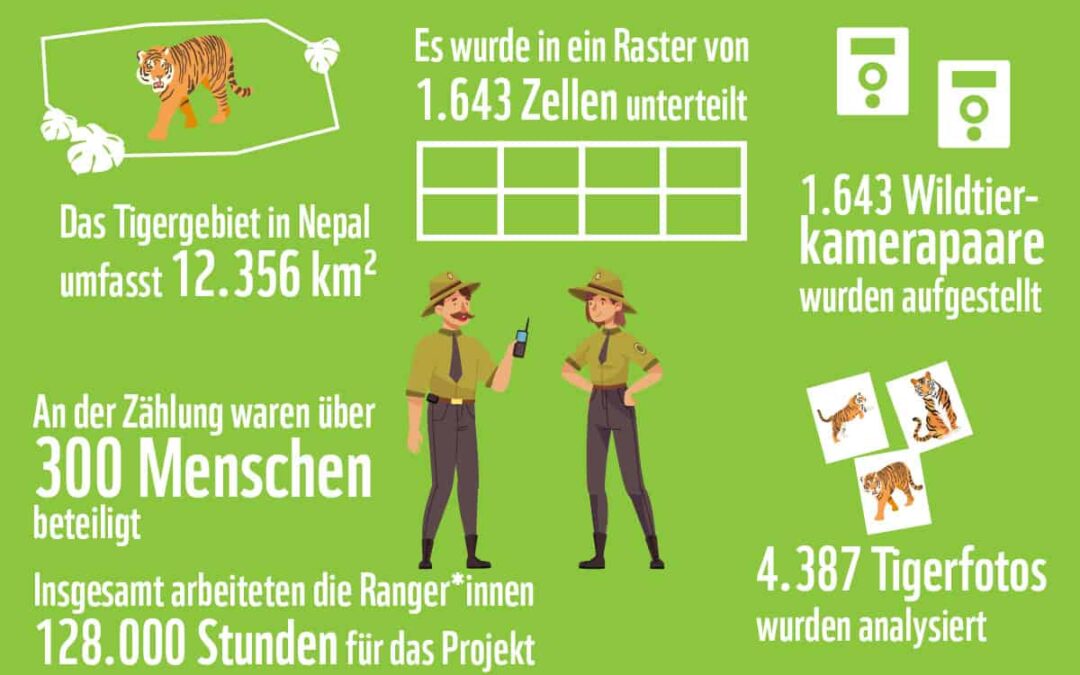 Grafik zur Tigerzählung. (c) AdobeStock/WWF