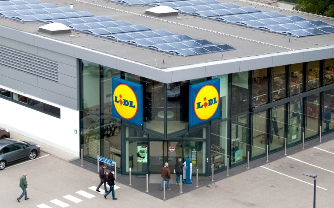 WWF und Lidl: Eine Partnerschaft die wächst