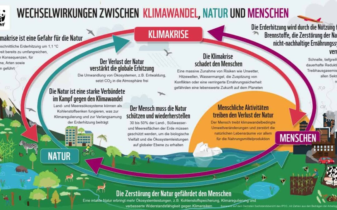 Grafik: Wechselwirkung Klima, Natur und Gesellschaft