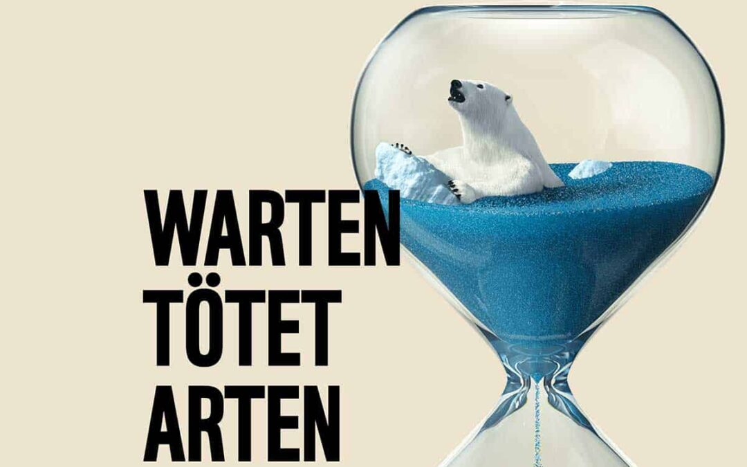 Sujet Eisbär_Warten tötet Arten(c)Agentur Unique-Fessler