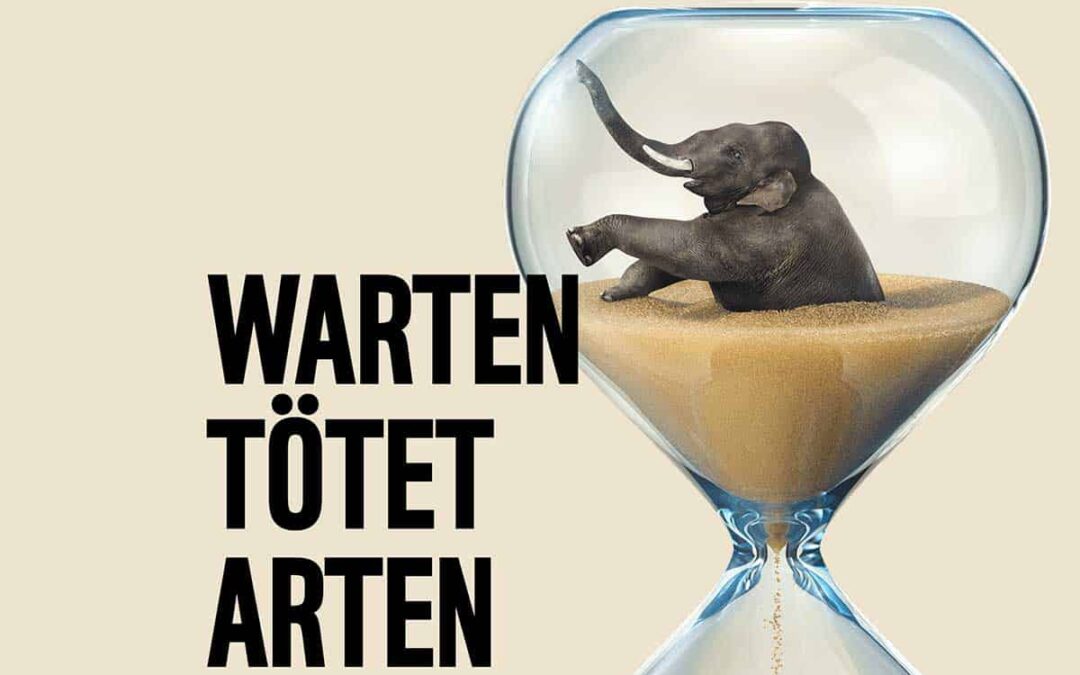 Sujet Elefant_Warten tötet Arten(c)Agentur Unique Fessler