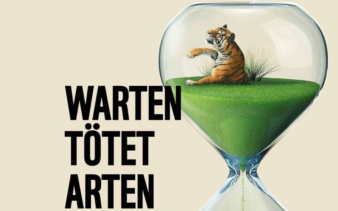 Sujet Tiger_Warten tötet Arten(c)Agentur Unique Fessler