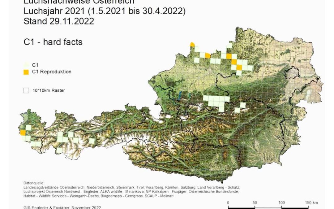 Verbreitungskarte Luchs in Österreich 2022(c)GIS Engleder & Fuxjäger