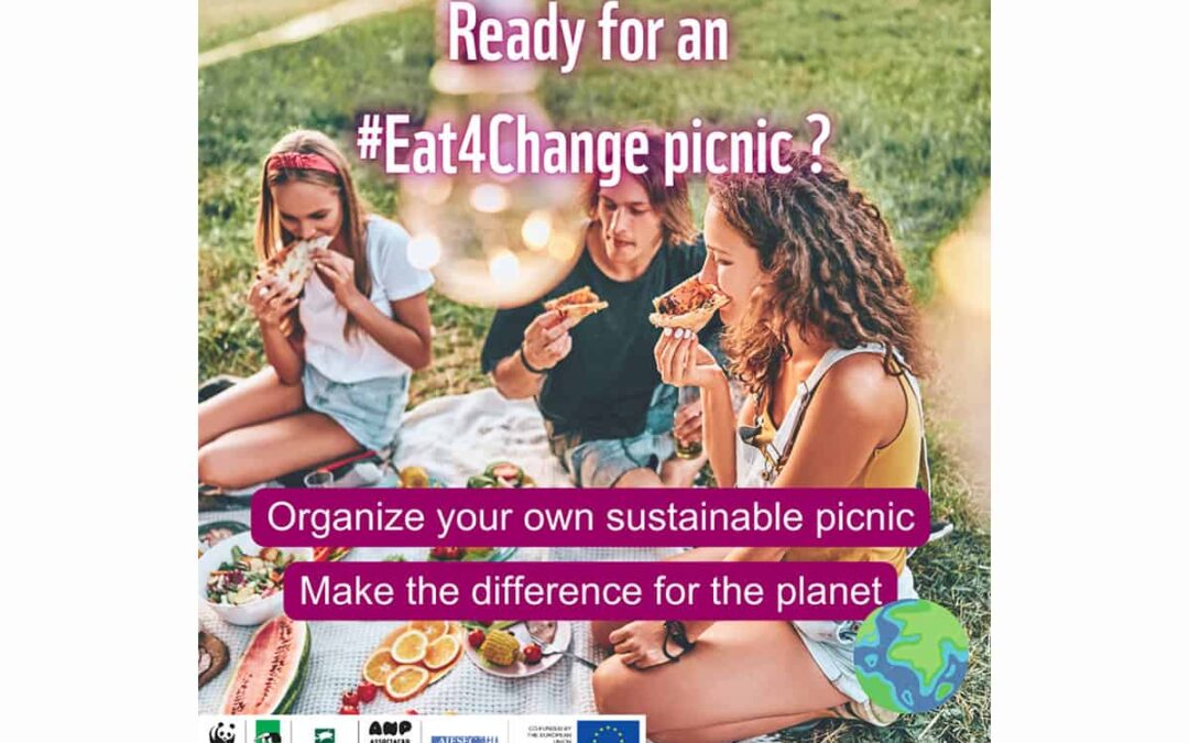 Eat4Change Picnic Challenge(c)Eat4Change Project