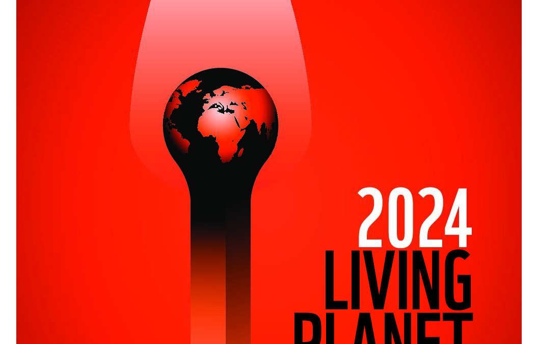 WWF-at_LivingPlanetReport-2024