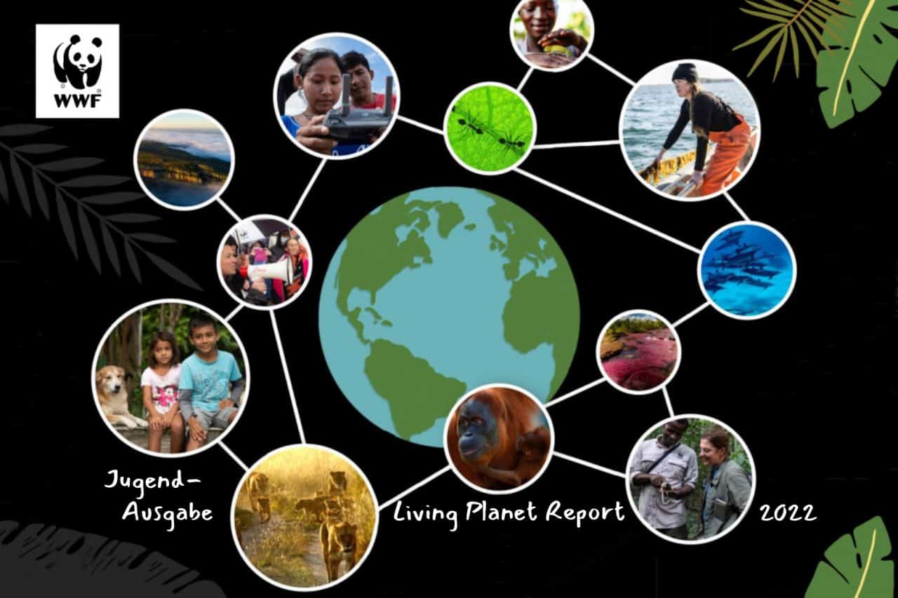 Wwf Living Planet Report 2024 Pdf - Rhea Benoite