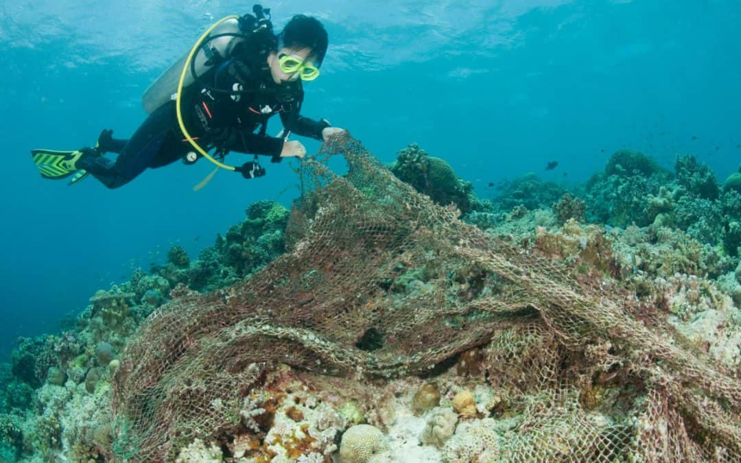 Der WWF reinigt Korallenriffe