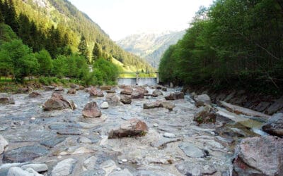 WWF fordert Abrissplan: Unnötige Querbauwerke abreißen und Flüsse lebendiger machen