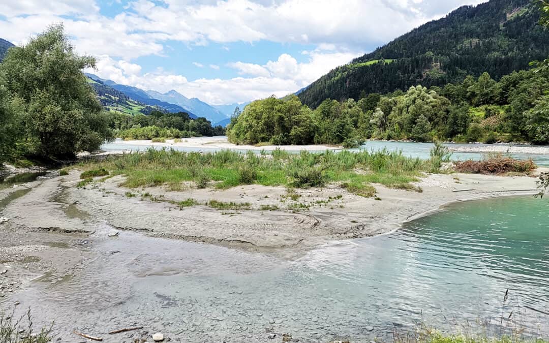 WWF und ÖKOBÜRO: Gesamte Isel muss Natura 2000 Gebiet werden