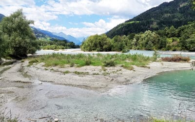 WWF und Naturschutzlandesrat Holub:  Österreichs größte Natur-Rückholaktion durch Isel-Kraftwerk gefährdet
