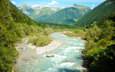 WWF fordert: Schluss mit Verzögerungen bei Natura 2000 in Tirol