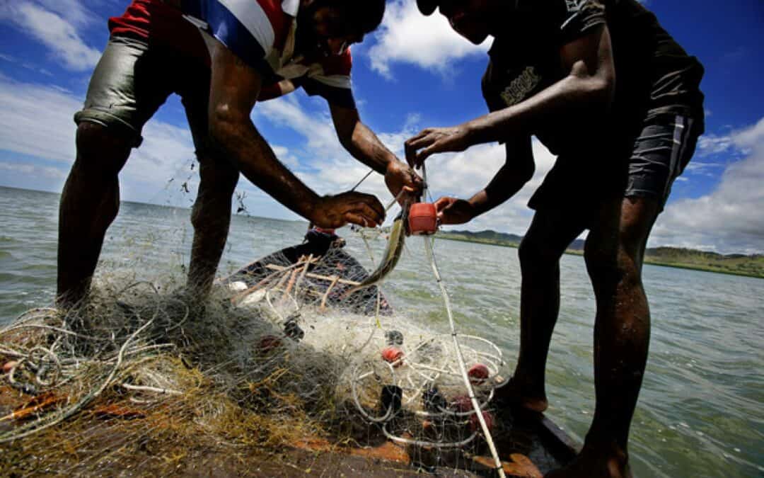 Paradies in Gefahr: Klimawandel bedroht Fidschi-Inseln