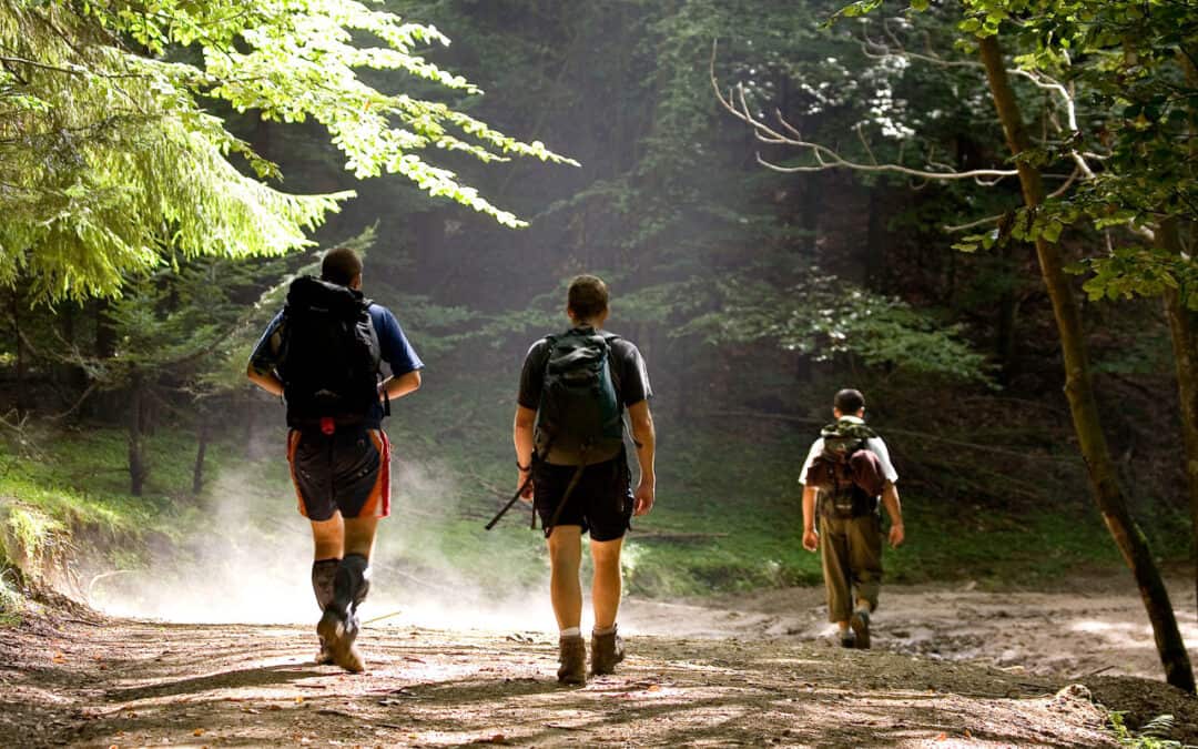 WWF-Wandertipps: Große Schritte, kleiner Fußabdruck