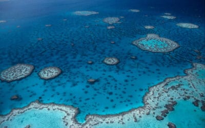 Gelbe Karte statt Roter Liste für Great Barrier Riff
