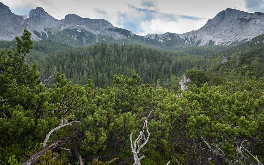 Beispiele für die letzten naturbelassenen Landschaftsräume