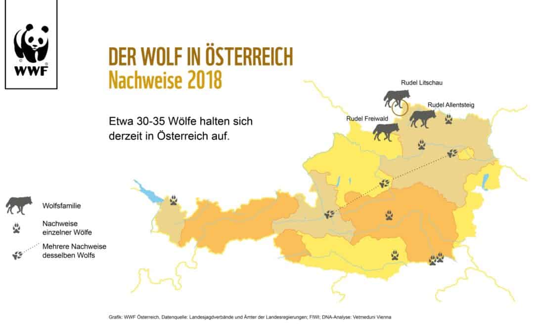 Karte: Nachweise von Wölfen in Österreich