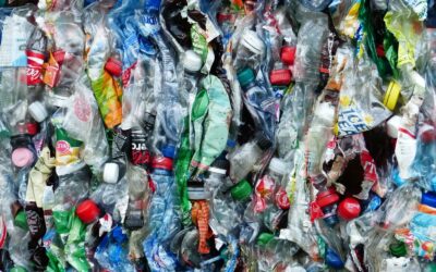 WWF Österreich unterstützt schärferes Vorgehen gegen die Plastikflut