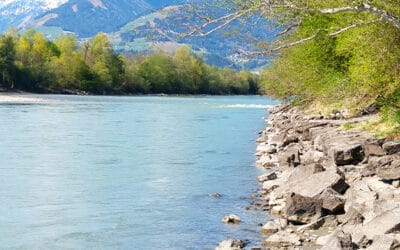 WWF: Tiroler Landesregierung muss Naturschutz-Versprechen einlösen – LH Platter gefordert