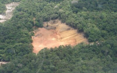 WWF warnt: Amazonas steht auf der Kippe