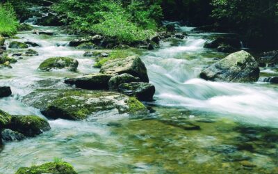 WWF Österreich begrüßt steirische Allparteien-Petition zum Schutz des „Fluss-Heiligtums“ Schwarze Sulm