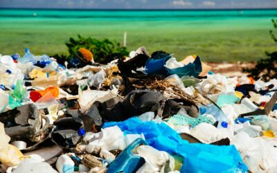 Neuer Report warnt vor Mikroplastik: WWF fordert konkreten Aktionsplan der Politik