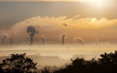CO2-Ausstoß erneut gestiegen: WWF fordert Akut-Programm gegen die Klimakrise