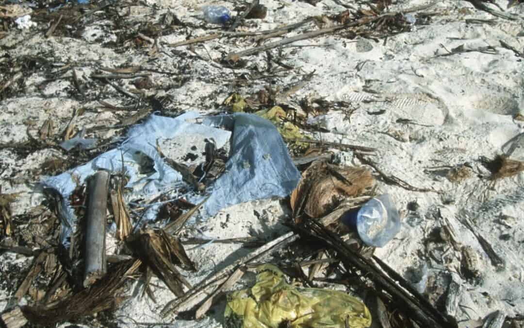 WWF Report: Mittelmeer geht in Plastik baden
