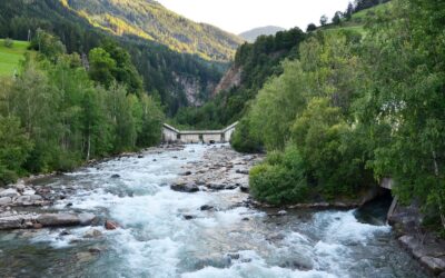 WWF Österreich kündigt EU-Beschwerde gegen Wasserkraft-Ausbau im Isel-Gebiet an
