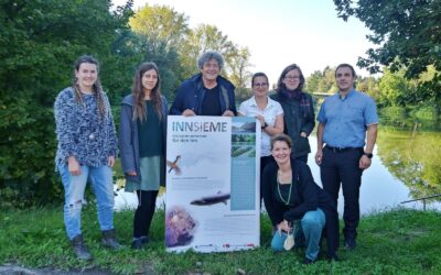 Uni Innsbruck startet „Aktionsplan Artenschutz“ für den Inn. WWF fordert Renaturierungs-Offensive