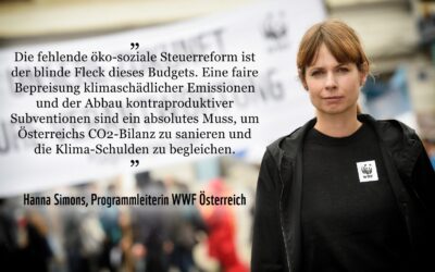 WWF Österreich zum Budget: Finanzminister muss öko-soziale Steuerreform vorantreiben