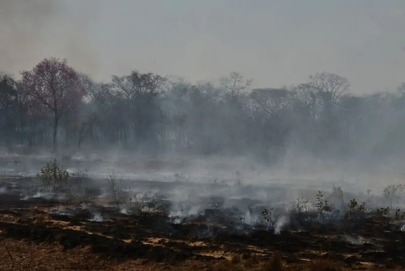 Verbrannte Landschaft, © by Juliana Arini / WWF-Brasil