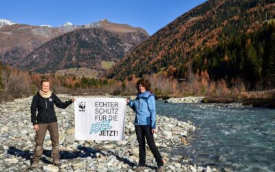 Osttirol: Neue Umwelt-Allianz fordert Ausbau-Stopp für alle Kraftwerksprojekte im Isel-Gebiet