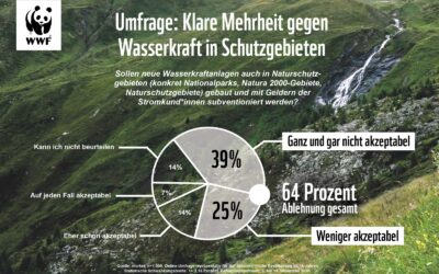 WWF: Neue Umfrage zeigt Zwei-Drittel-Mehrheit gegen Wasserkraft in Schutzgebieten