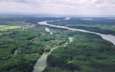 WWF: Österreich stellt sich gegen geplanten Donau-Oder-Elbe-Kanal