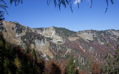 WWF: Erweiterung des Wildnisgebiets Dürrenstein ins Lassingtal ist ein Meilenstein