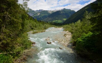 Kraftwerk Kalserbach: WWF und Experten kritisieren mangelhafte Naturverträglichkeitserklärung