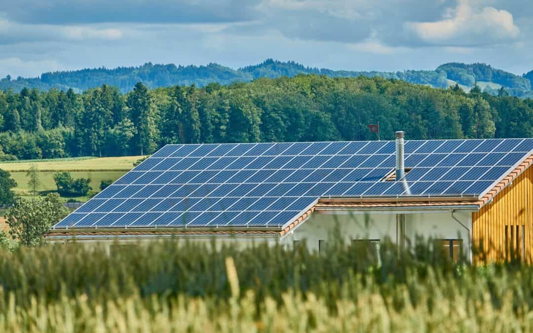 WWF fordert Dächer-Schwerpunkt beim Photovoltaik-Ausbau