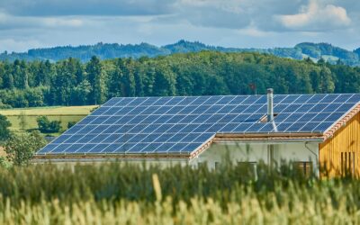 WWF fordert Dächer-Schwerpunkt beim Photovoltaik-Ausbau
