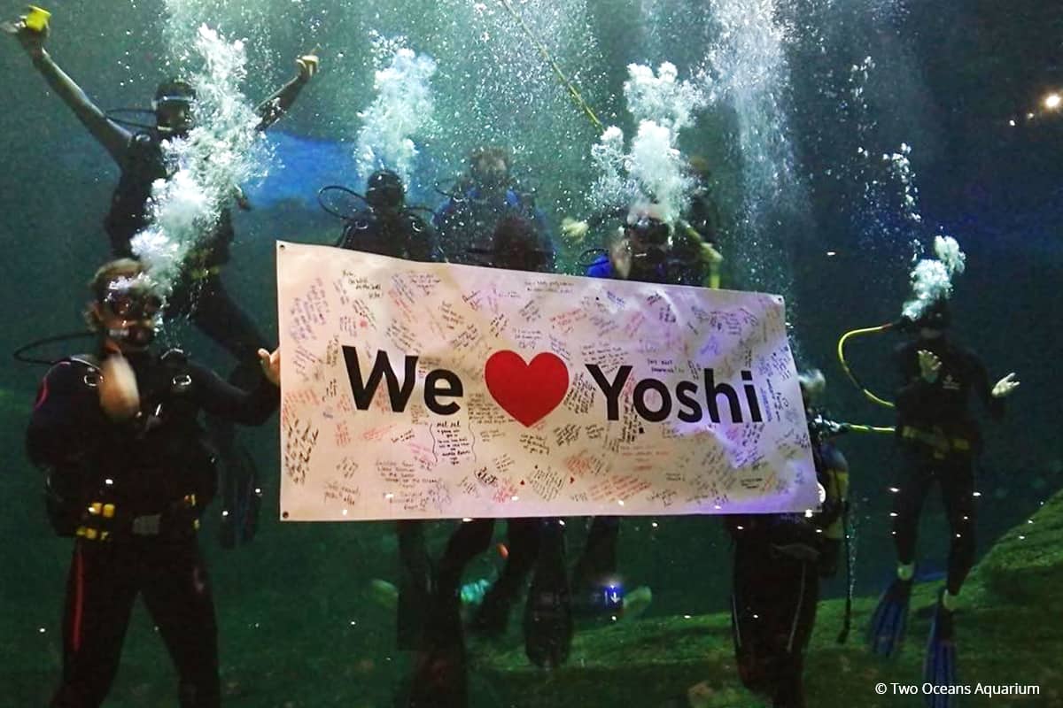 "We love Yoshi" Party mit Tauchern
