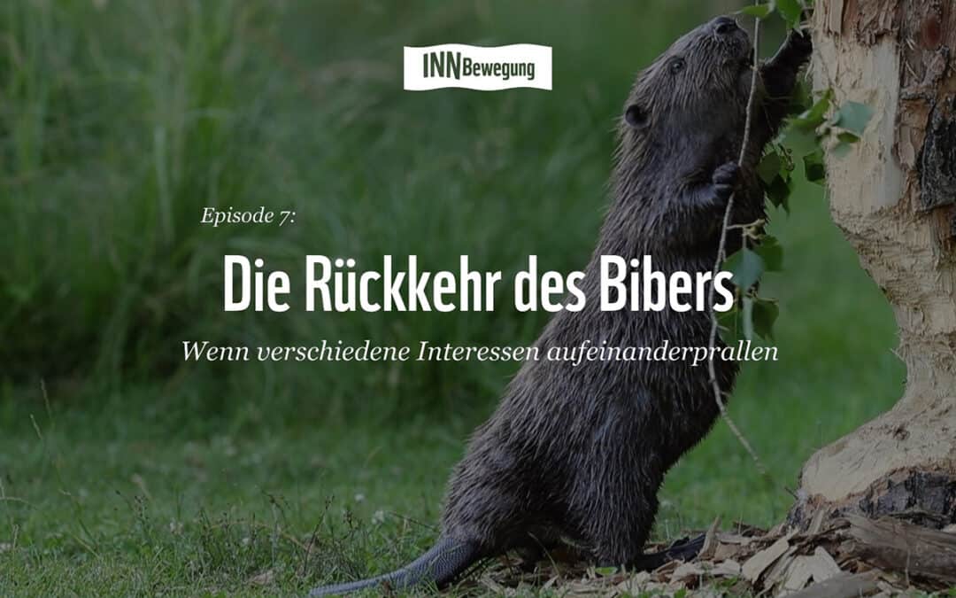 INNBewegung: Die Rückkehr des Bibers – Episode 7