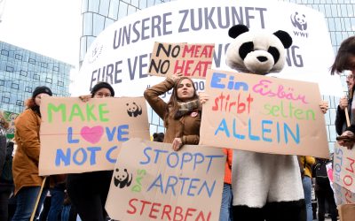 Weltweiter Klimastreik: WWF fordert Stopp von Flächenfraß