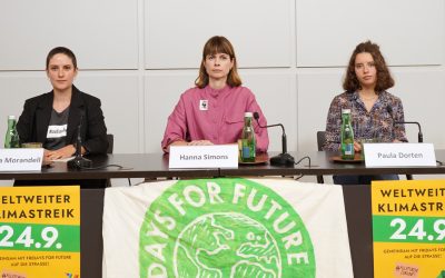 Fridays for Future und WWF rufen zum weltweiten Klimastreik auf