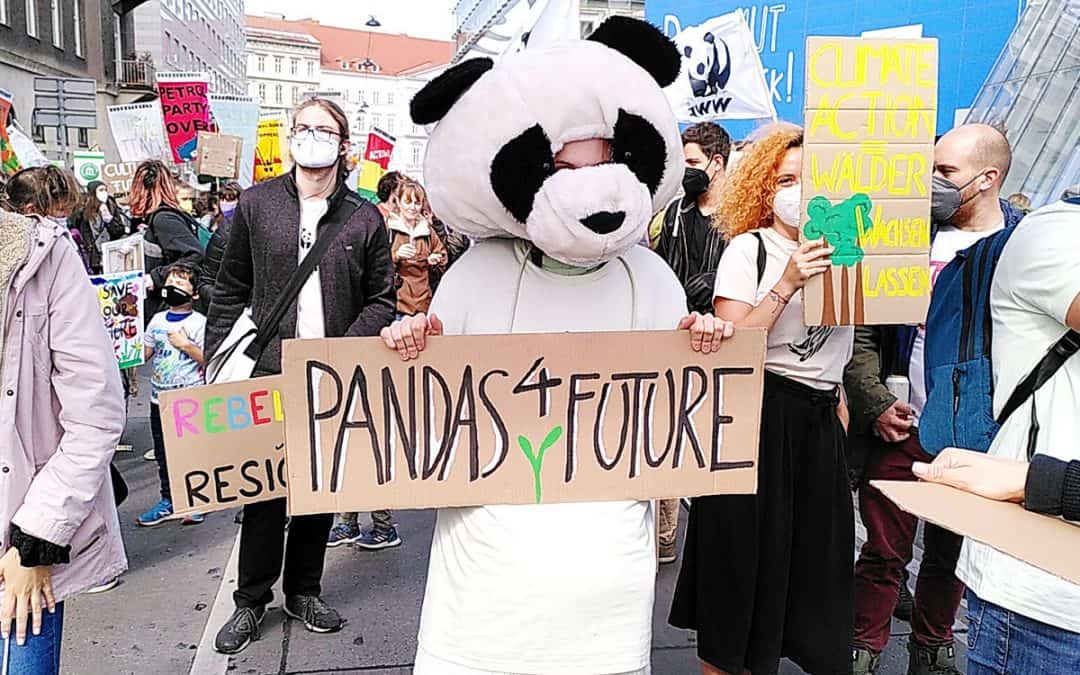 Das war der 8. weltweite Klimastreik