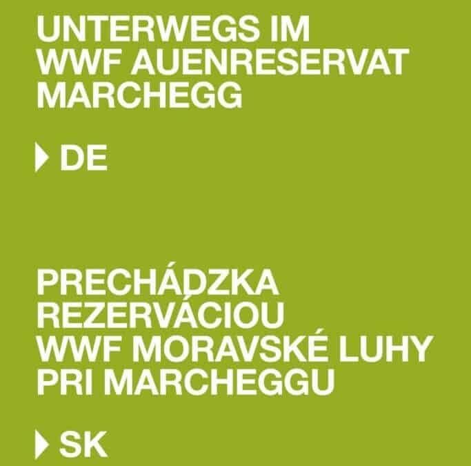 Prechádzka rezerváciou WWF Moravské luhy pri Marcheggu