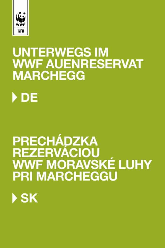 Prechádzka rezerváciou WWF Moravské luhy pri Marcheggu