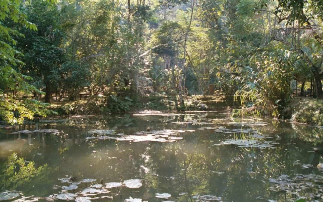 WWF begrüßt Nominierung von Andritz Hydro zum „Schandfleck des Jahres“