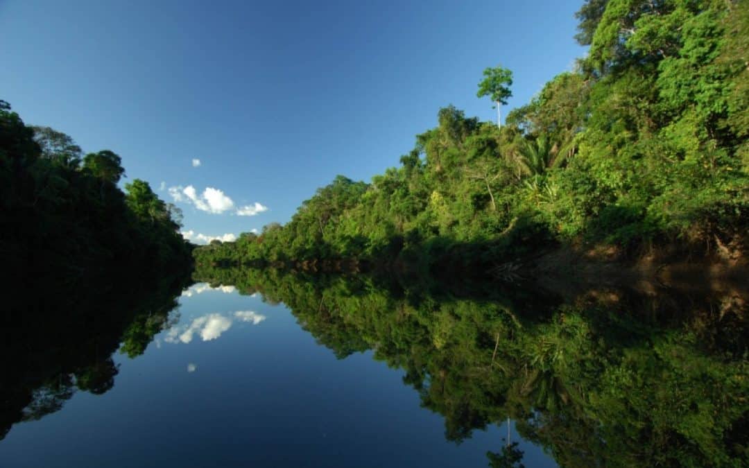 Weltfondstag: WWF fordert nachhaltigere Ausrichtung des Finanzmarktes