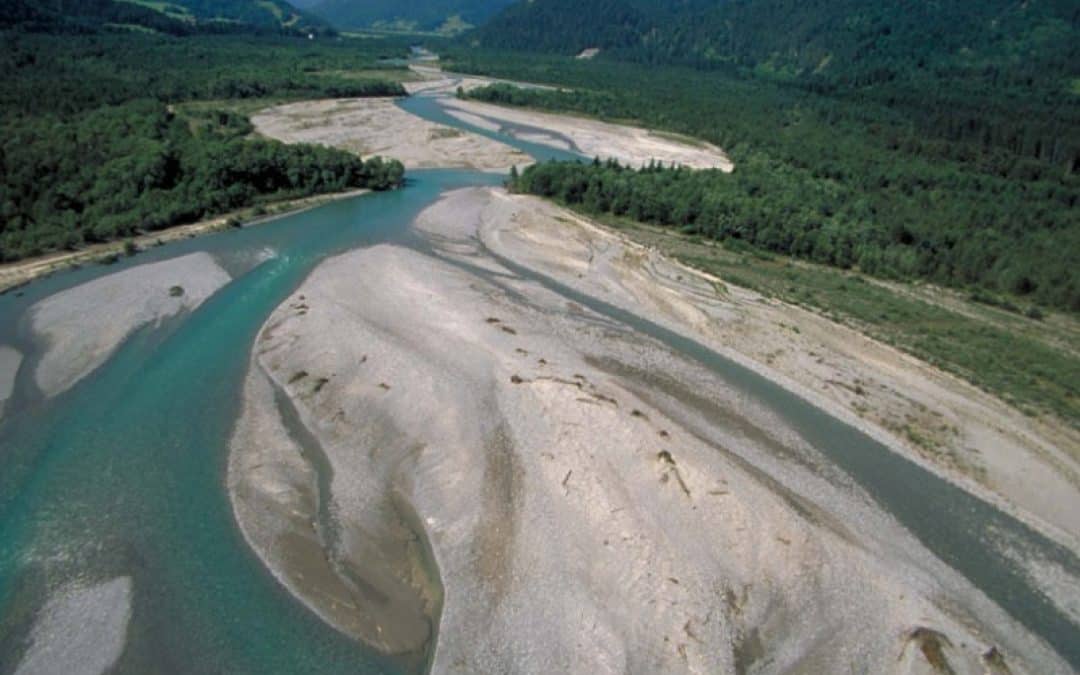 EU-Kommission gibt grünes Licht für Wasserrahmenrichtlinie. Meilenstein für Naturschutz