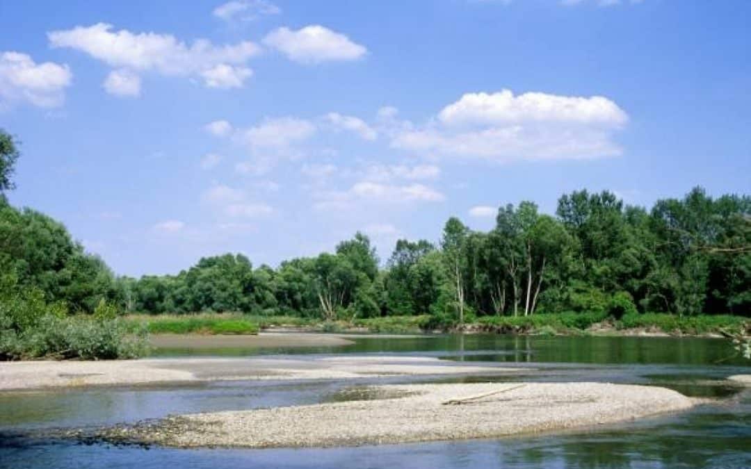 Donauraum-Strategie der EU als große Chance für den Umweltschutz